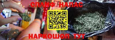 дурь Пугачёв