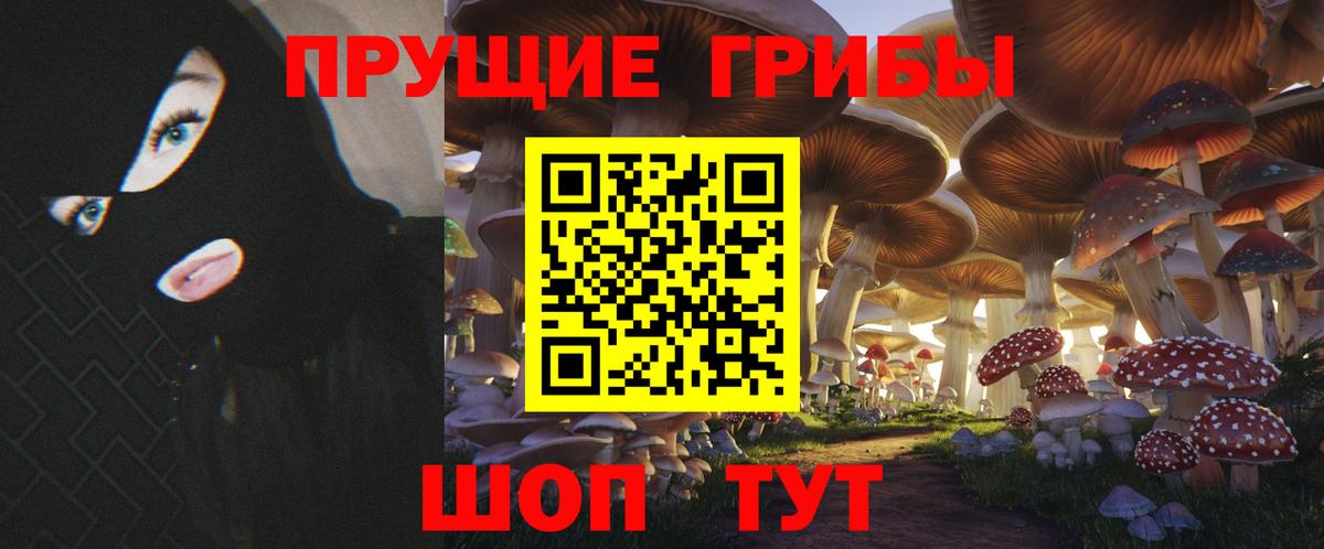 Псилоцибиновые грибы Cubensis  Вход с VPN  Ростов-на-Дону 
