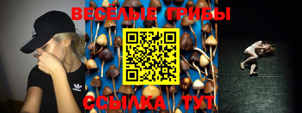 Псилоцибиновые грибы Magic Shrooms Ростов-на-Дону